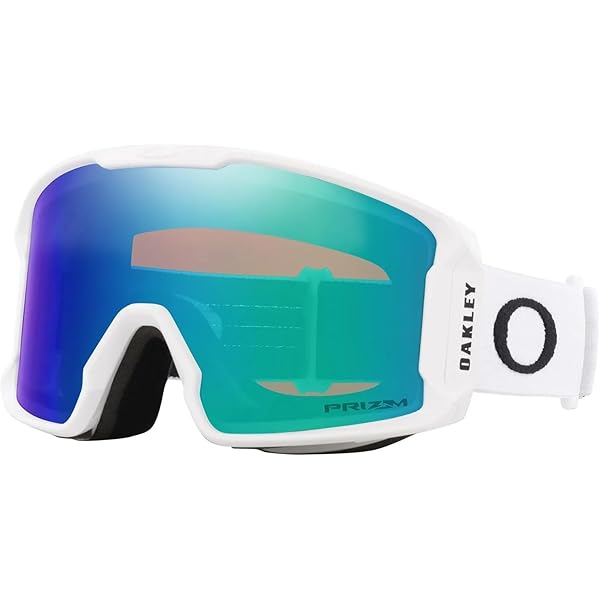 Amazon.co.jp: Oakley Flight Path XL Adult Replacement Snow Goggles